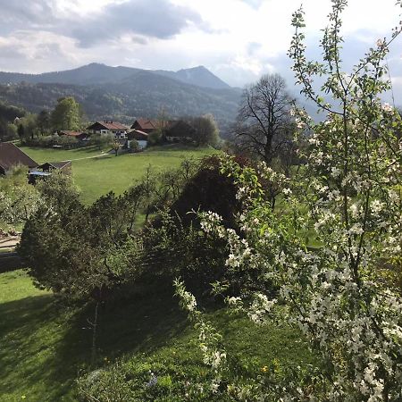 Entspannen Mit Bergpanorama Siegsdorf Exterior foto